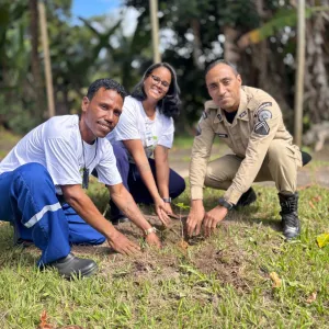 17.06.25_Ação Planta Bahia Embasa_Ilhéus_sul da Bahia.jpeg