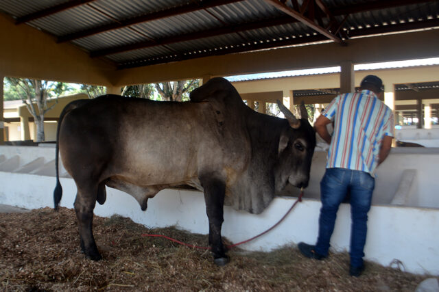 SECOM Expofeira Cuidados com Animais Foto Valto Novaes (2)(1)