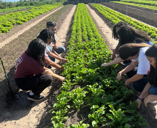Foto Vinicius Souza 2
