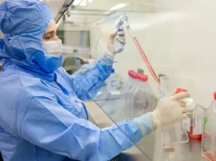 Estudo usa células-tronco contra complicações do transplante de medula