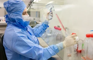 Estudo usa células-tronco contra complicações do transplante de medula